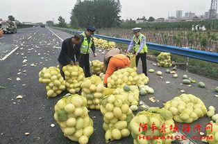 美嘉吃瓜群众,揭秘娱乐圈幕后风云