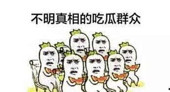 吃瓜.520,揭秘娱乐圈那些不为人知的幕后故事