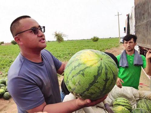 夏林吃瓜,揭秘娱乐圈背后的那些事儿