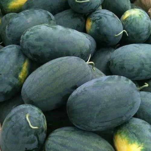 巩义市吃瓜,瓜果飘香，品味夏日清凉时光