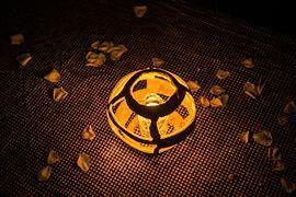 文静吃瓜群众,揭秘娱乐圈幕后故事