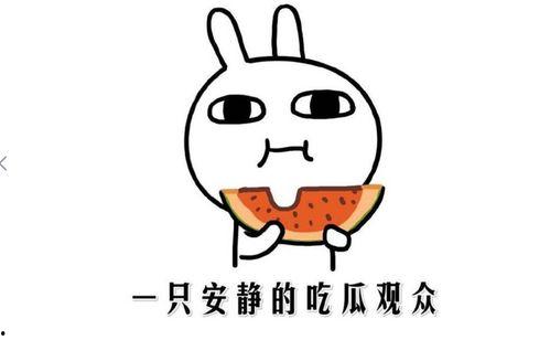 都有哪些吃瓜事件呢,揭秘明星幕后故事